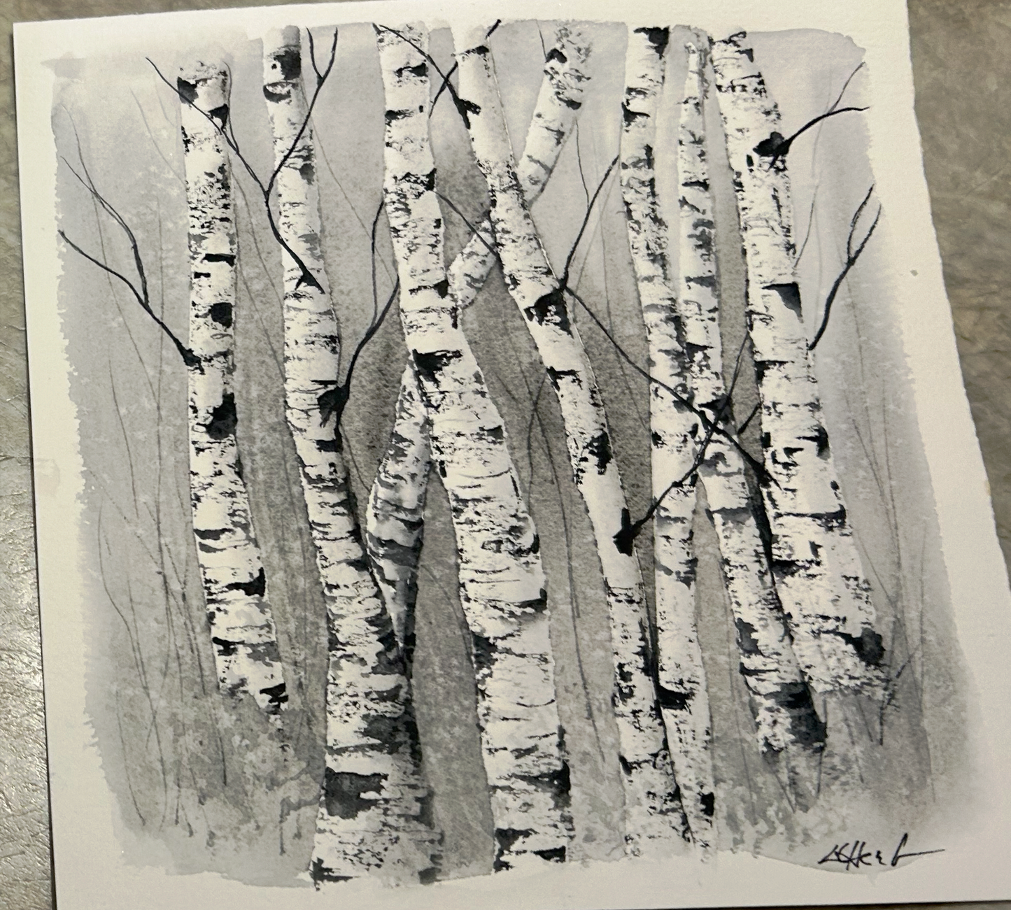 Birch Trees - 8x8 Original Painting